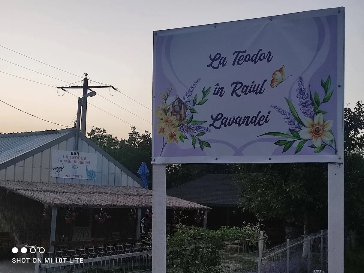 Panoul La Teodor în Raiul Lavandei, la intrarea dinspre drum