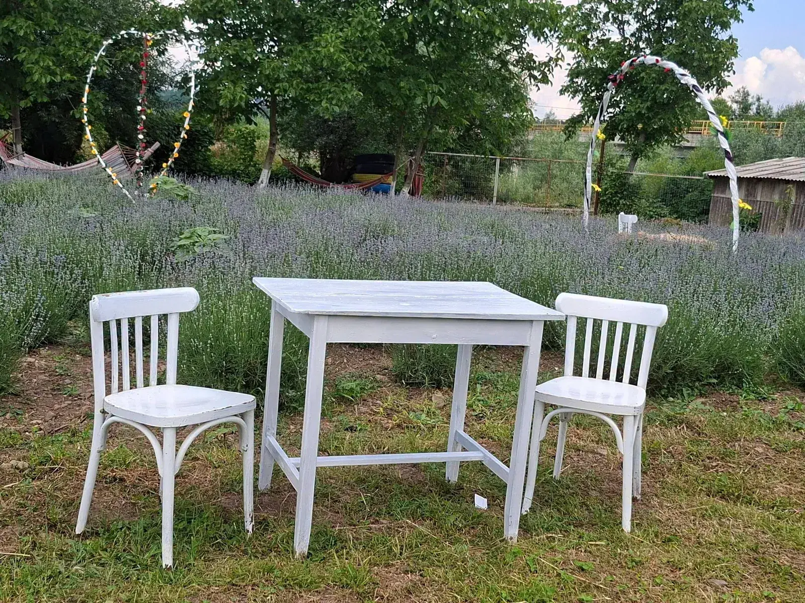 Masă și scaune albe printre rândurile de lavandă